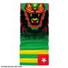 Togo Flag